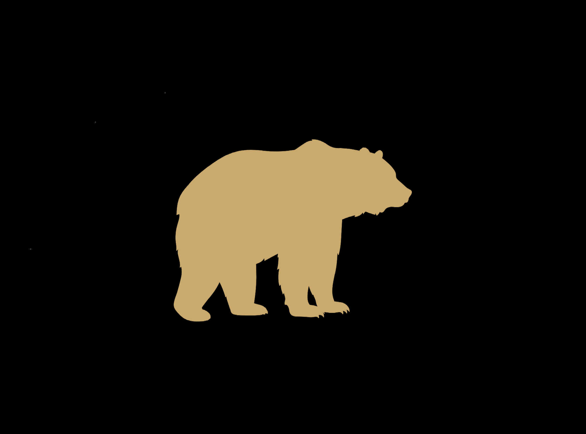 Bearbridge Tax Recruitment